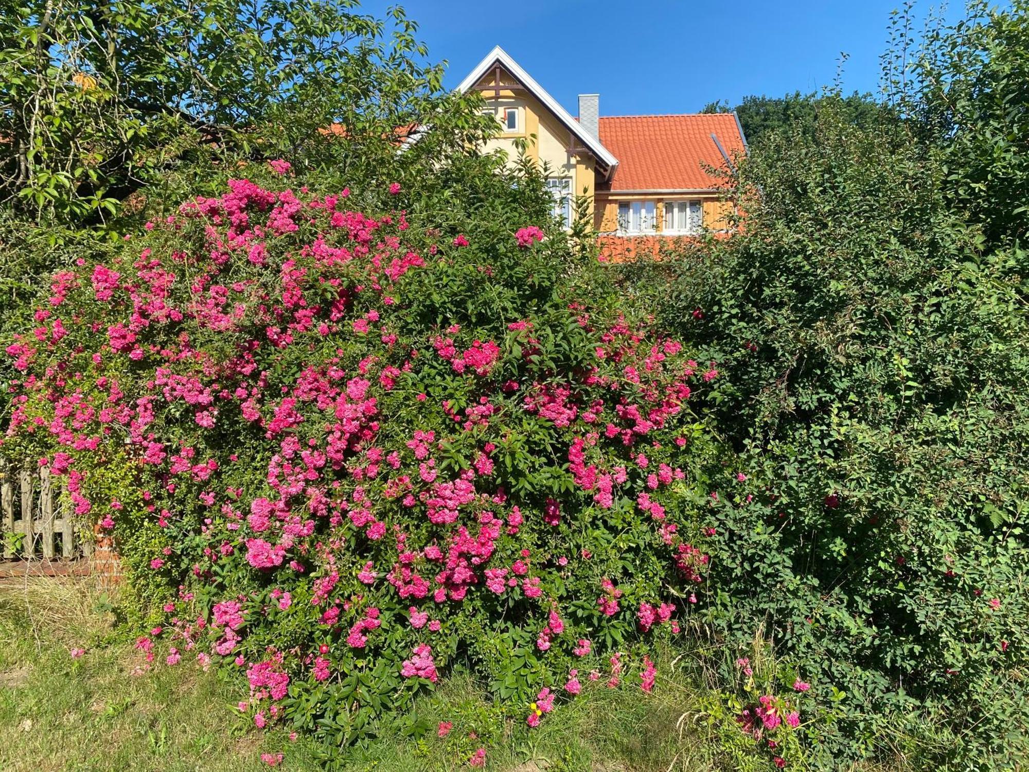 Apartamento Neulandhof Spoering Walsrode Exterior foto